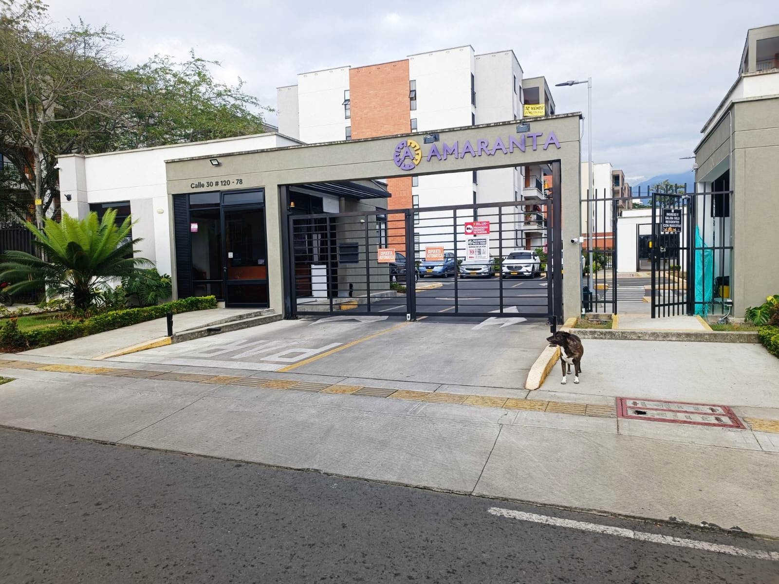 WhatsApp Image 2024-09-30 at 13.50.24