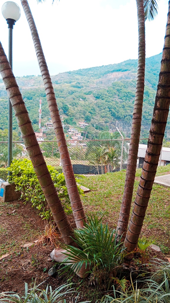 ???????????????????????????????????????????????????????????????????????????????????????????????????????????????????????????????????????????????????????????????????????????????????????????????????????????????????????????????????????????????????????????????????????